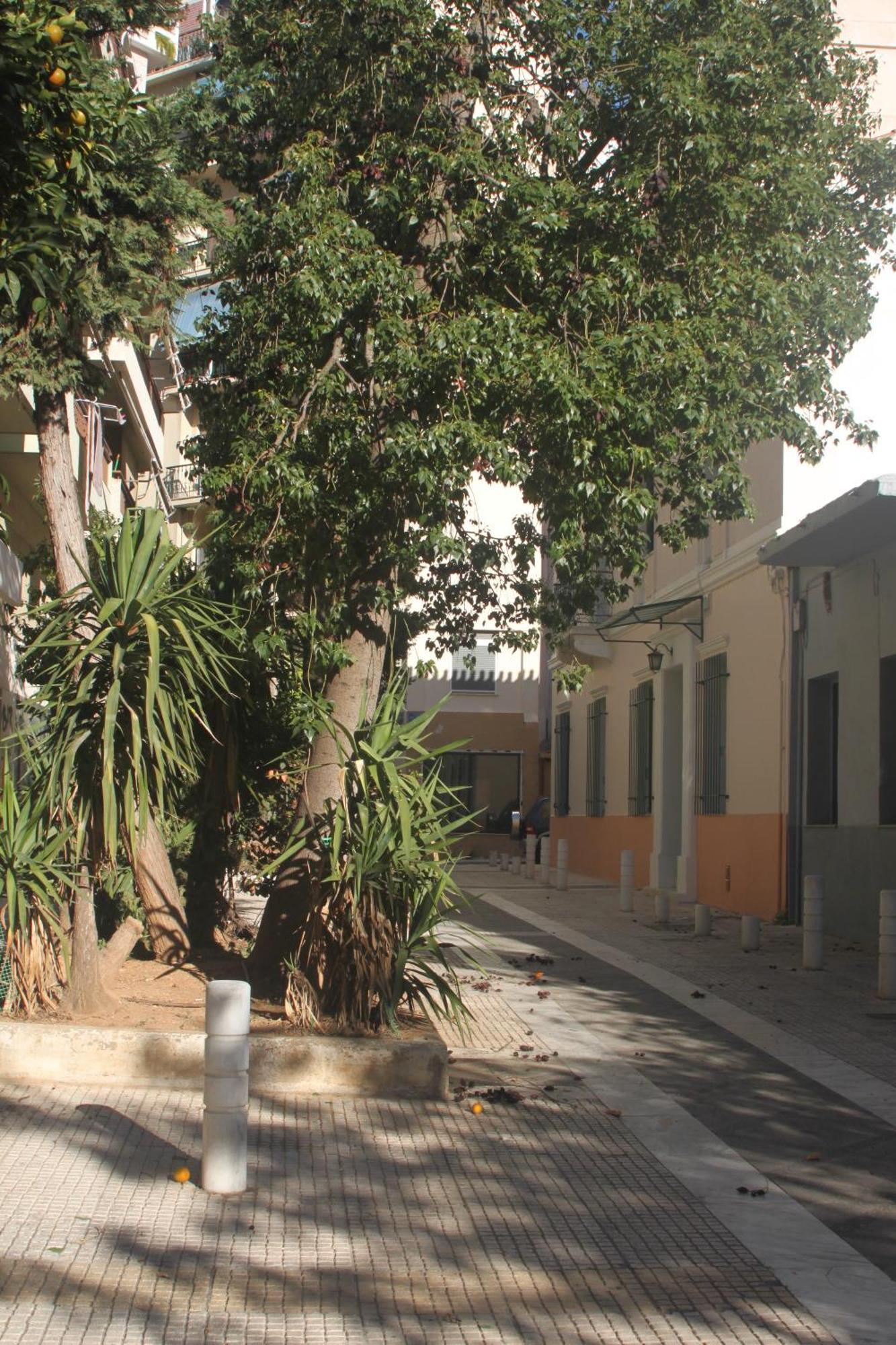 "Under The Olive Tree"- Beautiful Apartment In The Heart Of Aten Exteriör bild