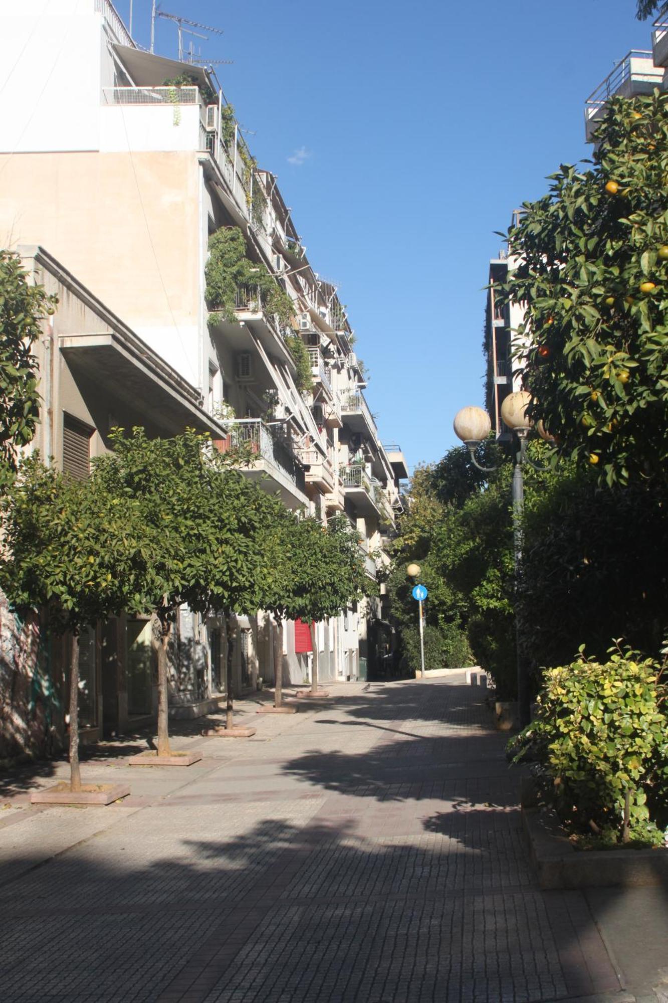 "Under The Olive Tree"- Beautiful Apartment In The Heart Of Aten Exteriör bild